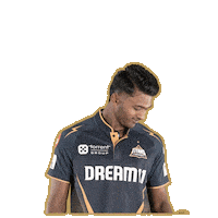 Ipl Gt Sticker by Gujarat Titans