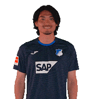 Sport Bundesliga Sticker by TSG Hoffenheim