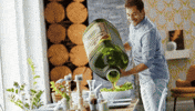Extra Virgin Olive Oil GIF by About Olive Oil