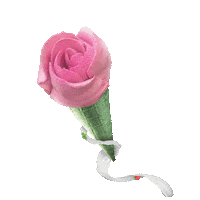 leoneicecream home world icecream valentinesday Sticker