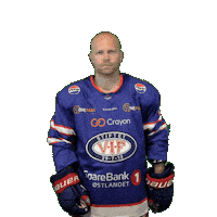 Ryan Deilig Sticker by VIF Hockey