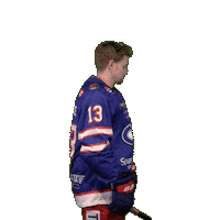 13 Sticker by VIF Hockey