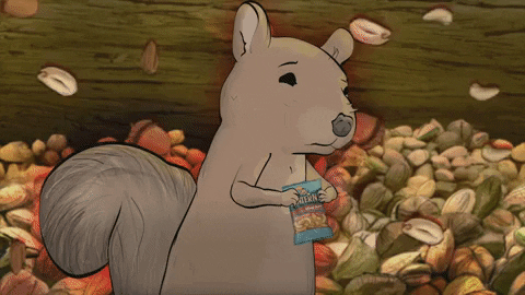 season 1 cats GIF by Animals