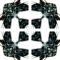 GIF by Leo Pyrata