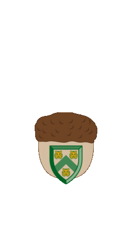 Rocky The Squirrel Sticker by Princeton University
