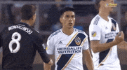 Chris Wondolowski GIF by San Jose Earthquakes