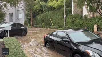 Beverly Hills 902-Oh No!: Cars Swamped by Mudslide as Severe Storm Drenches South California