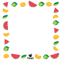 Pondsmexico orange fresh watermelon collection Sticker