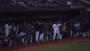 East Carolina Ecu Baseball GIF by ECU Athletics