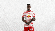 Oh Yeah Yes GIF by RB Leipzig