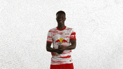 Lets Go Smile GIF by RB Leipzig
