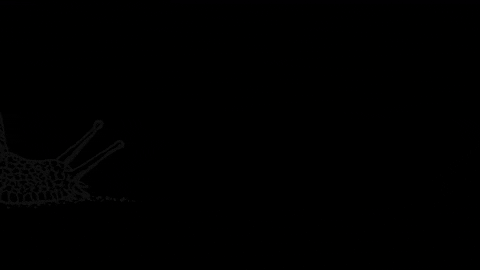 whyimurderedmyroommate giphyupload boo GIF