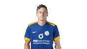 Gialloblu Scg Sticker by SC Golling