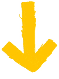Adifl Sticker by Dogs Trust
