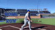 CUWBaseball cuw cuwfalcons cuwbaseball drewjohnson GIF
