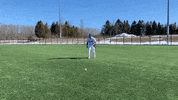CUWBaseball cuw cuwfalcons cuwbaseball coleaguirre GIF