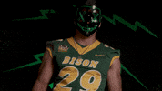 Bison Gonnella GIF by NDSU Athletics