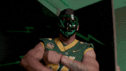 Bison Gonnella GIF by NDSU Athletics