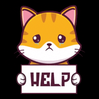 Cat Love GIF by CATECOIN