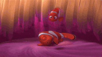 Finding Nemo Morning GIF by Disney Pixar