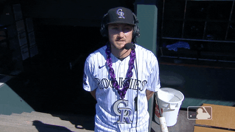 Regular Season Sport GIF by MLB