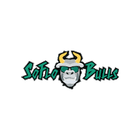 South Florida Football Logo Sticker by SoFloBulls