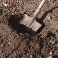 Building Die GIF by TRT