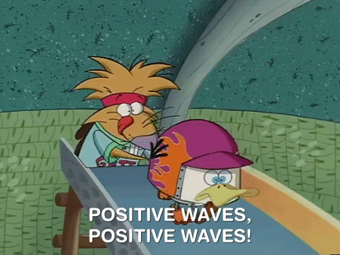 nickrewind giphydvr nicksplat angry beavers giphyab031 GIF