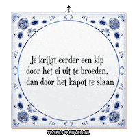Ei Wijsheid Sticker by Tegelspreuken.nl