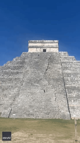 Dogs Climb Up Steps of El Castillo Mayan Pyramid