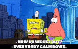 season 6 episode 23 GIF by SpongeBob SquarePants