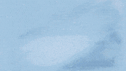 Overwatch Owl GIF by Vancouver Titans