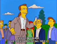 Season 10 Episode 13 GIF by The Simpsons