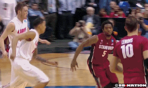stanford GIF by SB Nation