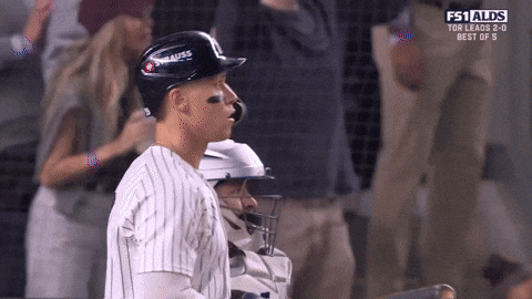 New York Yankees GIF by MLB