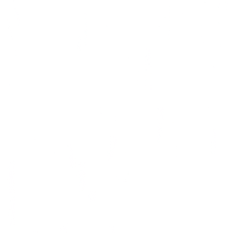 umut-simsek giphyupload dental clinic dentalclinic umutşimşek Sticker