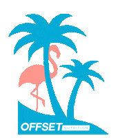 miami flamingo Sticker by OFFSET Nutrition