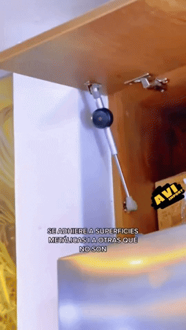 stoicoral giphyupload GIF