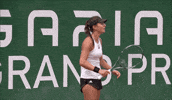 Avanesyan GIF