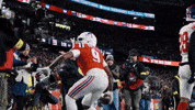 Football Nfl GIF by New England Patriots