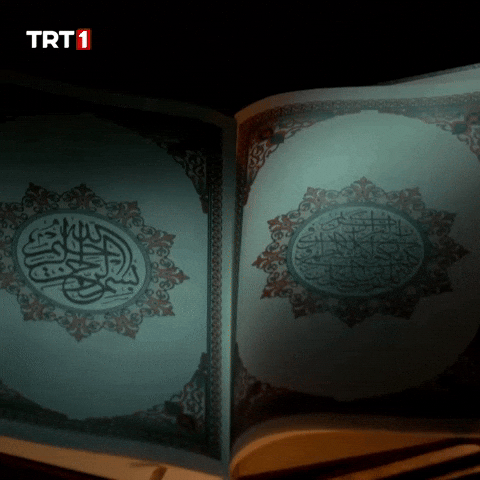 Book Reading GIF by TRT