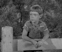 Zoom In Season 3 GIF by Paramount+