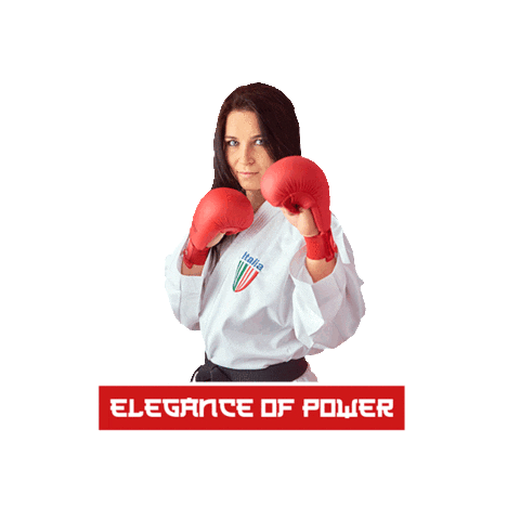 DMTC_Sport giphyupload karate dmtc dmtcsport Sticker