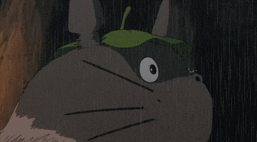 my neighbor totoro GIF