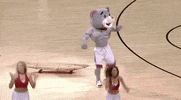 houston rockets basketball GIF by NBA