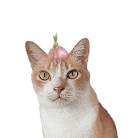 Plant Thank You Sticker