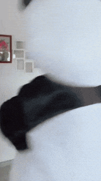 Run Help GIF