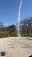Dust Devil Towers Over Carriages in New York's Central Park