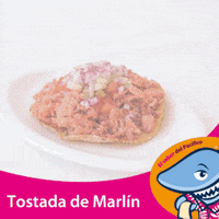 GIF by Mi Gusto Es