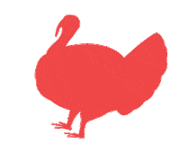 Chicken Duck Sticker by A PET STORE